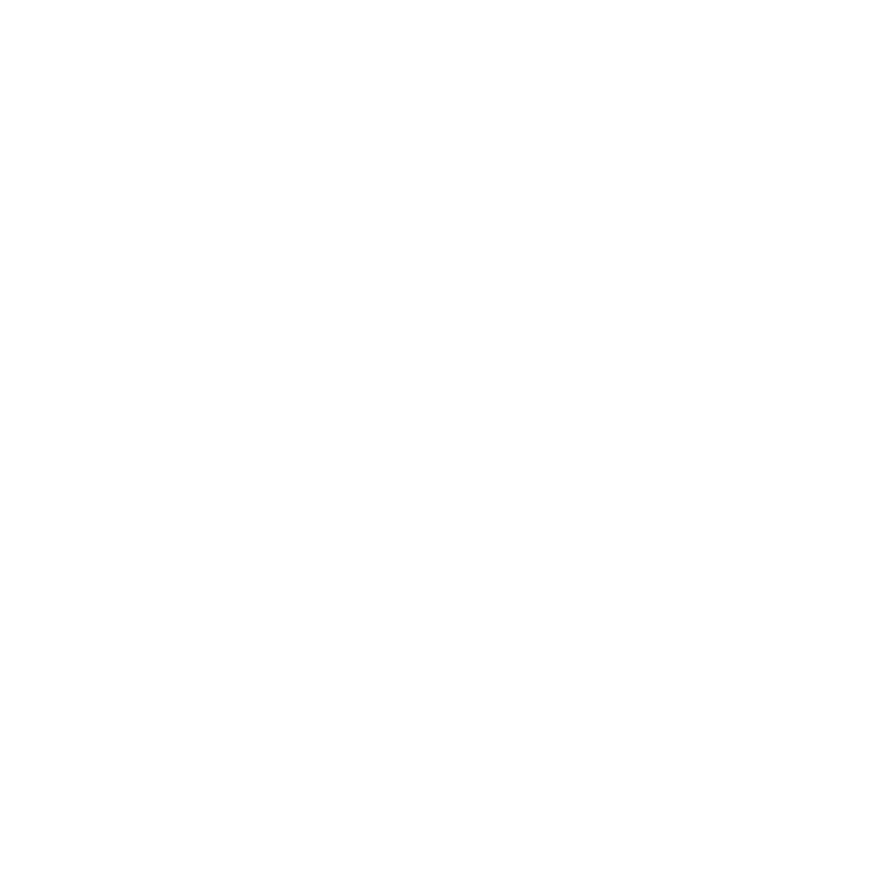 Piktogramm Megafon weiß